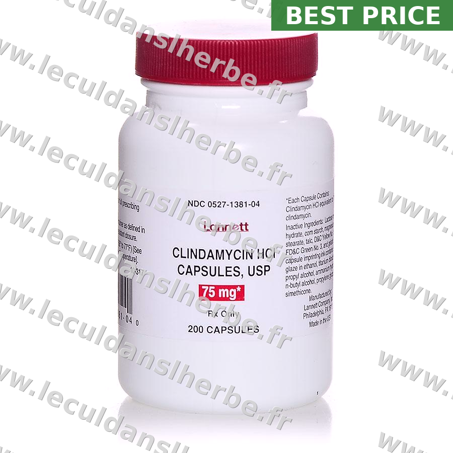 Clindamycine 300mg — noté 4,8/5 : 0,52€ le comprimé en France